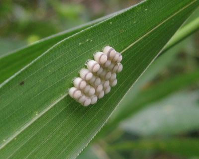 ���ɂ��Ă���