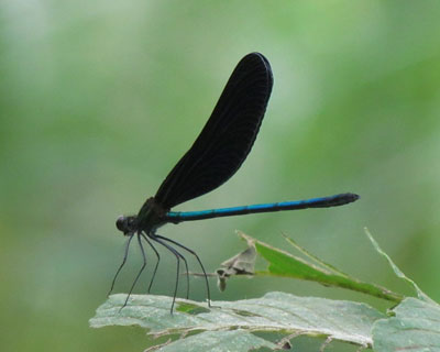 ���A����D��