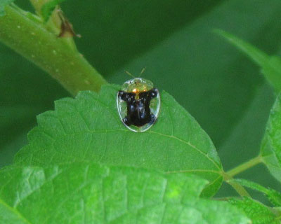 �W���K�T�n���V