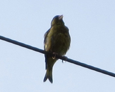 ��������J�����q��