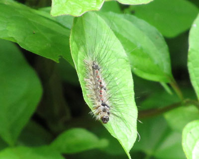 �}�C�}�C�K�Ɏ����ђ�