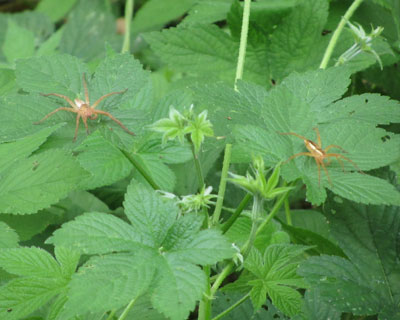 �������񂢂邱���������H