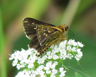 �R�`���o�l�Z�Z������