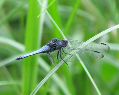 �x�ނƂ�������O�Ɍ�����