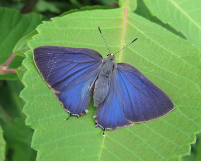 �J�����������