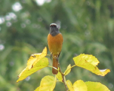 ���N�͒x������