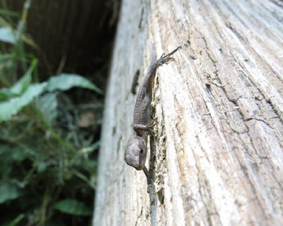 �����~��ē�����