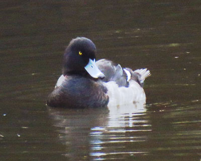 �ڂ�����I