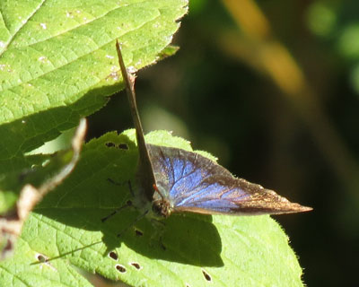 �P�Q���������J�������T�L�V�W�~