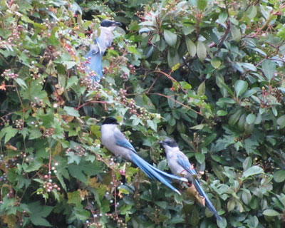 �悭���邯�ǁA����������I�i�K