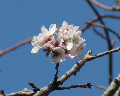 �P�O�����̍�