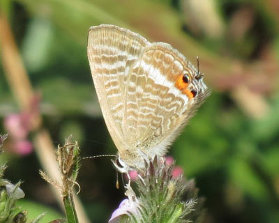 �����������Ȃ��Ă������