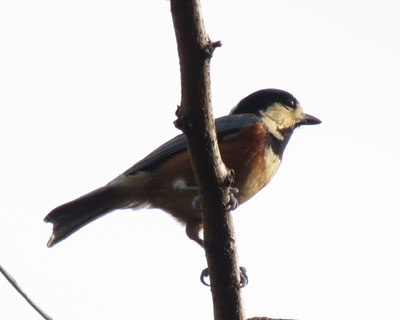 �Z�������}�K��