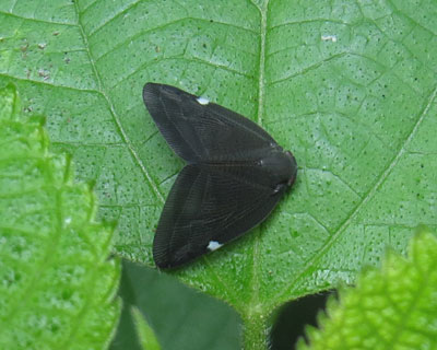 �������A�~�K�T�n�S����