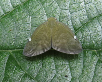 �����A�~�K�T�n�S����