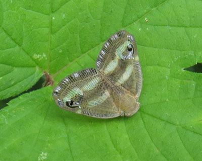 �x�b�R�E�n�S����