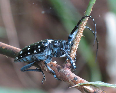 �؂�������S�}�_���J�~�L��