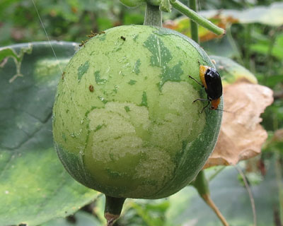 ������������