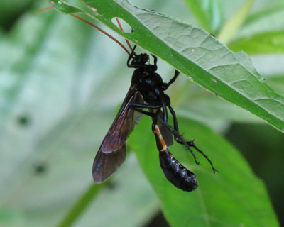 �����ׂ�����n�`