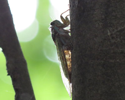 ��������������q�O���V