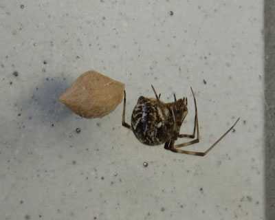 �I�I�q���O������