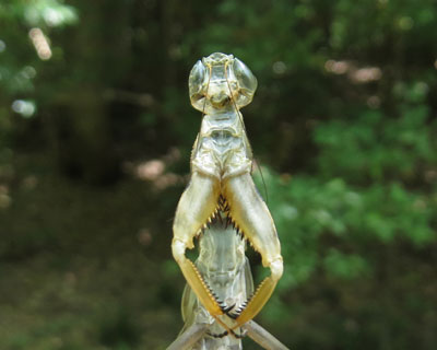 �k�J�}�L��