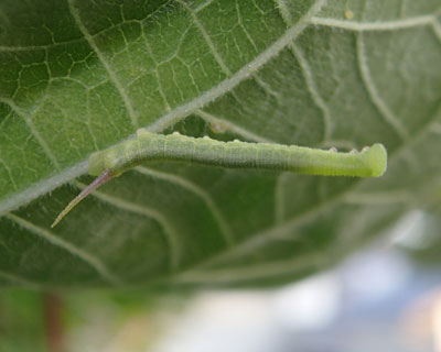 �������������G�r�K���X�Y��