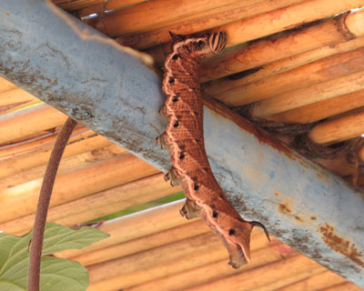 �����������l