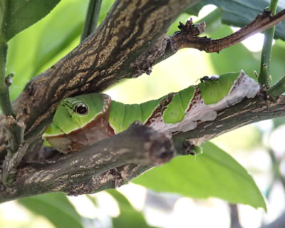 �s�^�ȃN���A�Q�n�C��