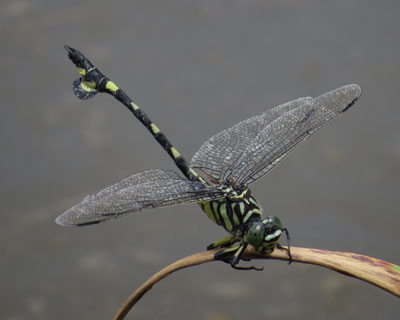 �t�����E�`�������}