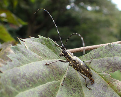 �L�{�V�J�~�L��