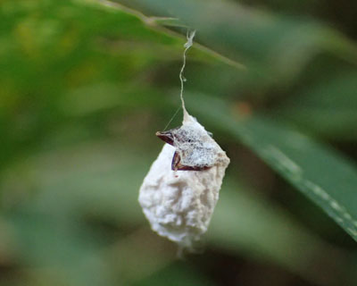 �������H