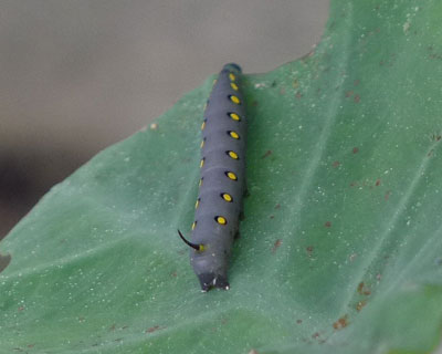 �E�F����