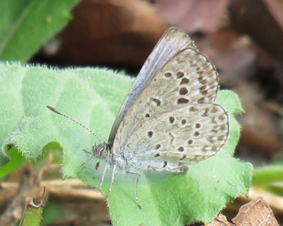 ���������������}�g�V�W�~