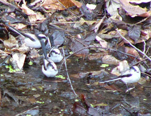 ���O����G�i�K