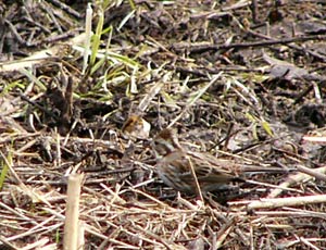 �J�V���_�J��T���I