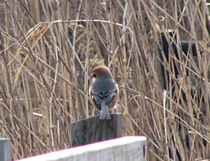 ���Y�Ȃ񂾂��ǁ`