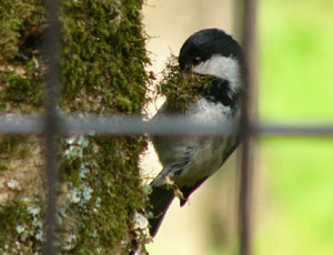 �ق��΂�q�K��