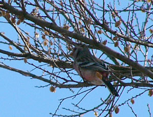 �w���͈Â�����