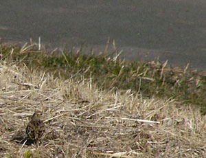 �q�o����T���I