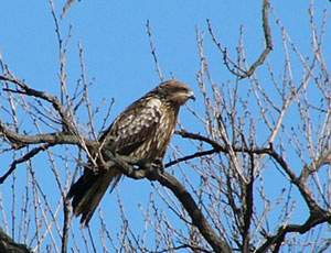 ����Ȃ����Ƃ����Č��������Ă��܂���