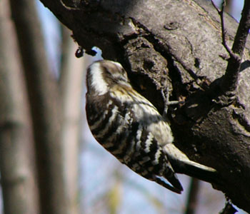 ���������I���������I