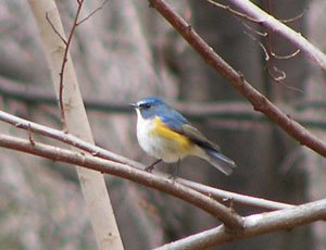 �꒣��N�ƃ����r�^�L