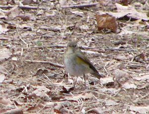 �������X