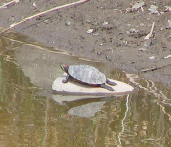 �~�h���K�����N���Ă���