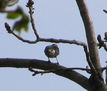 �X�P�[�^�[�R���N�h��