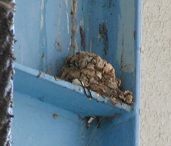 �Ȃɂ��̑����ȁH