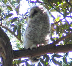 ������ƋC�ɂȂ�