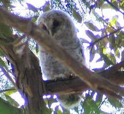 ���܂ɂ�����������