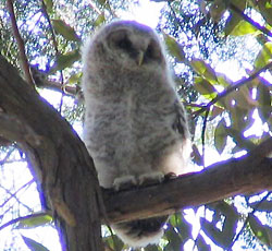 �L�����L��������